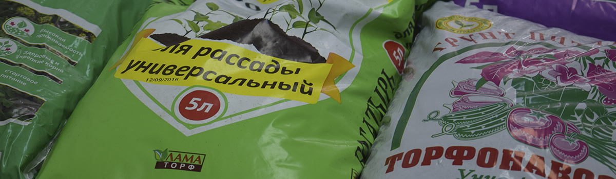 Красноярские эксперты расскажут, какой грунт опасен