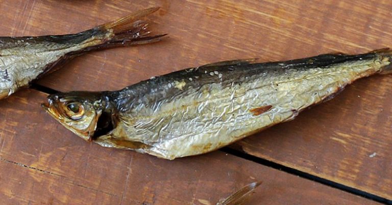 Красноярские учёные выяснили, что енисейская рыба – бесценный источник Омега-3